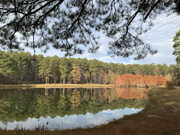 Gum Springs Horse Campground Picture 4