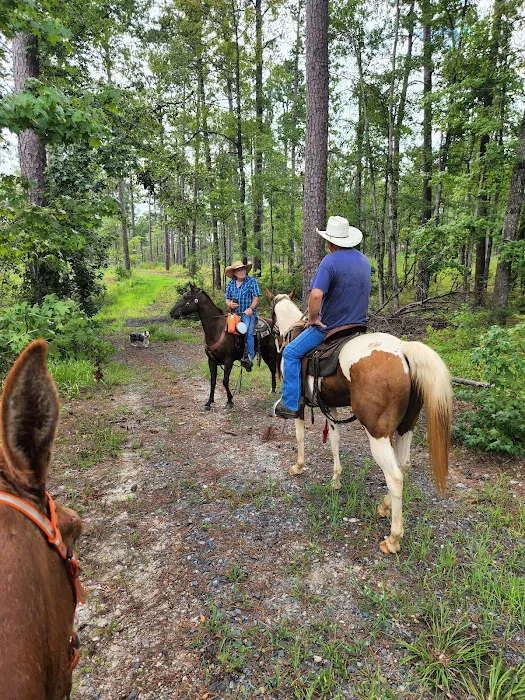 Gum Springs Horse Campground Picture 9