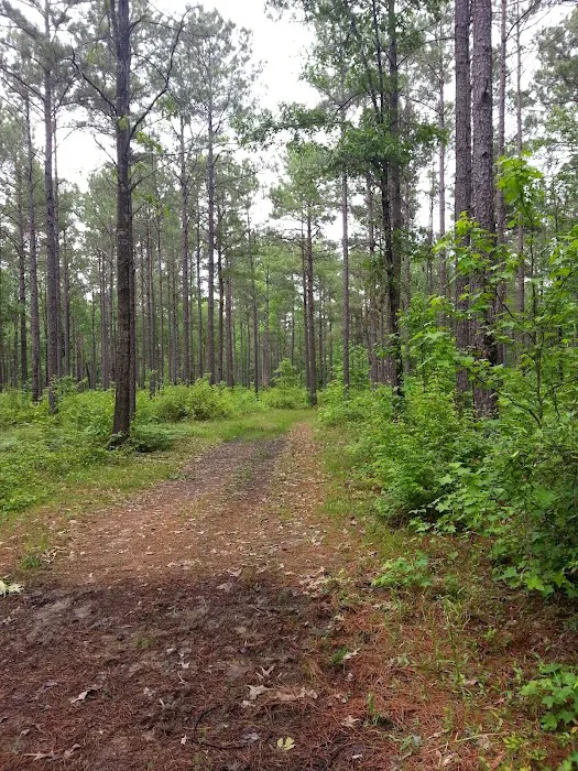 Gum Springs Horse Campground Picture 7