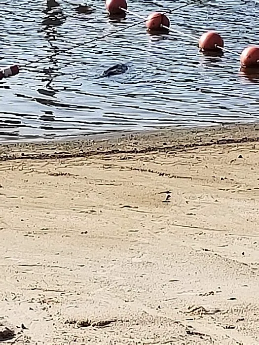 Riverton Lake Campgrounds Picture 6