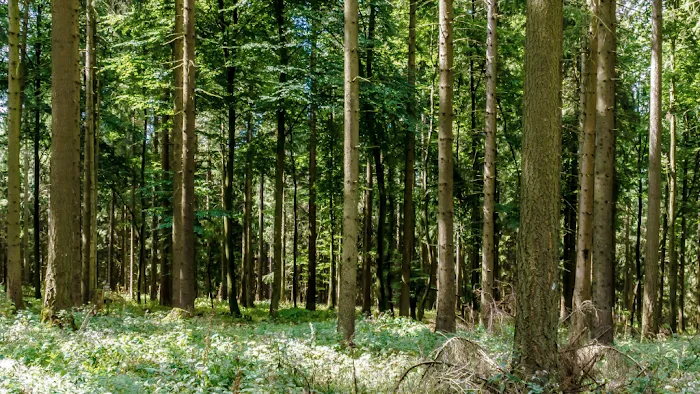 Saline Lake Campground & RV Park Picture 1