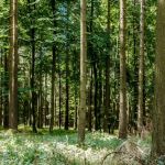 Saline Lake Campground & RV Park