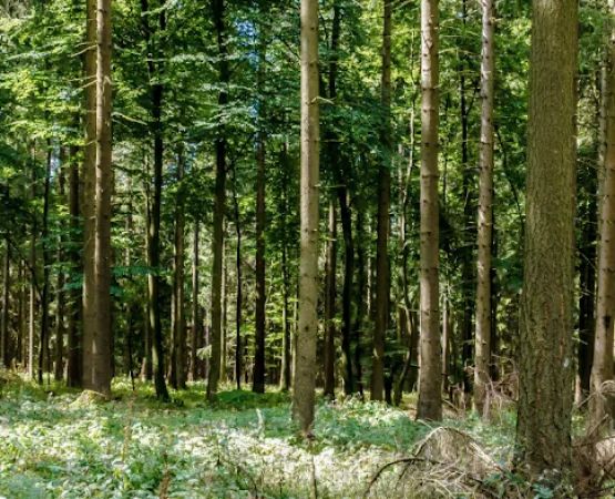 Saline Lake Campground & RV Park