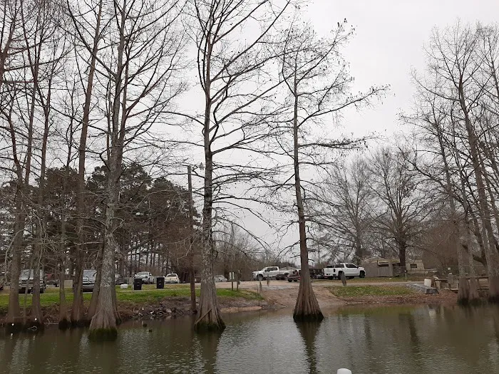 Woolen Lake Road Campground and Boat Launch Picture 2