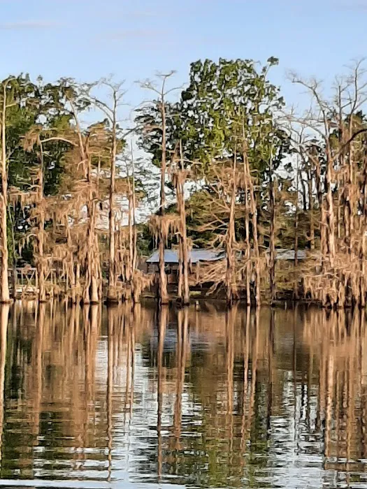 Woolen Lake Road Campground and Boat Launch Picture 4