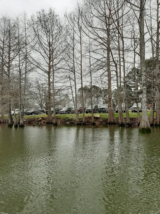 Woolen Lake Road Campground and Boat Launch Picture 1