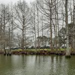 Woolen Lake Road Campground and Boat Launch