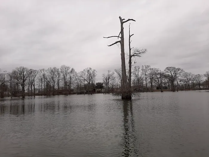 Woolen Lake Road Campground and Boat Launch Picture 3