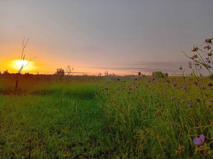 Woolen Lake Road Campground and Boat Launch Picture 6