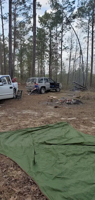 Coyote Campground, Kisatchie National Forest Picture 8