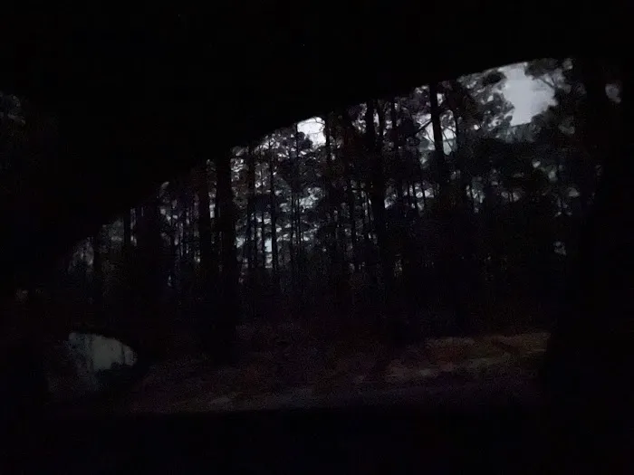 Coyote Campground, Kisatchie National Forest Picture 9