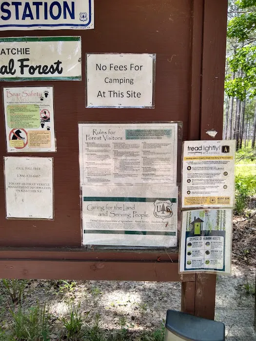 Coyote Campground, Kisatchie National Forest Picture 10