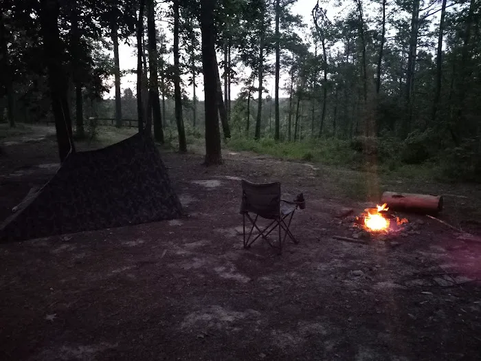 Coyote Campground, Kisatchie National Forest Picture 3