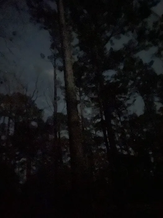 Coyote Campground, Kisatchie National Forest Picture 6