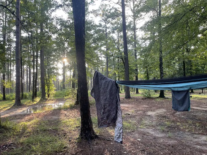 Coyote Campground, Kisatchie National Forest Picture 5
