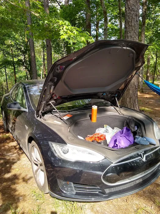 Coyote Campground, Kisatchie National Forest Picture 1