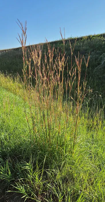 Lac qui Parle Upper Campground Picture 4