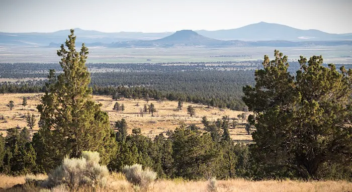 Green Mountain Campground Picture 1