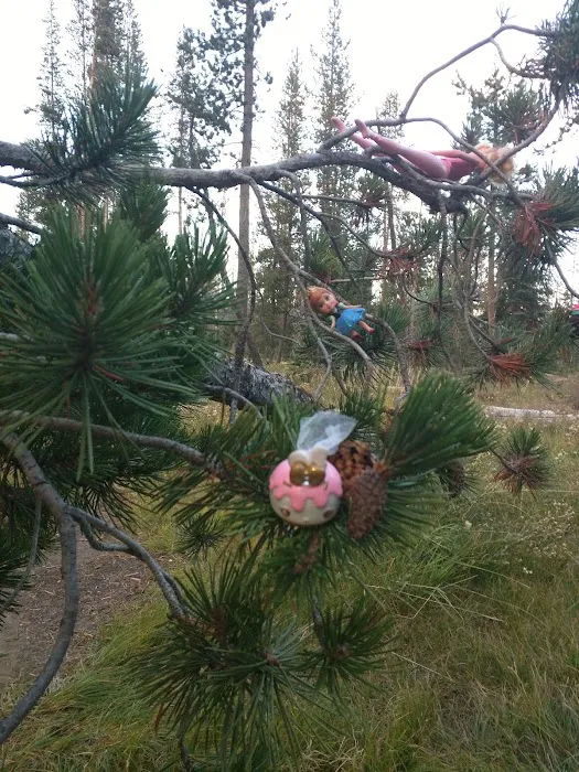 Lost Creek Campground Picture 8