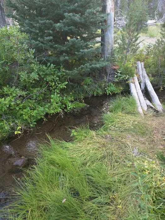 Lost Creek Campground Picture 2