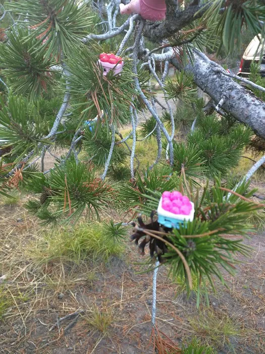 Lost Creek Campground Picture 4