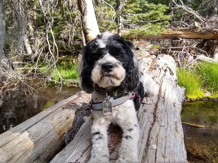 Lost Creek Campground Picture 6