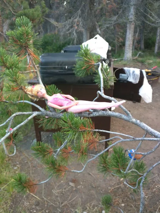 Lost Creek Campground Picture 10