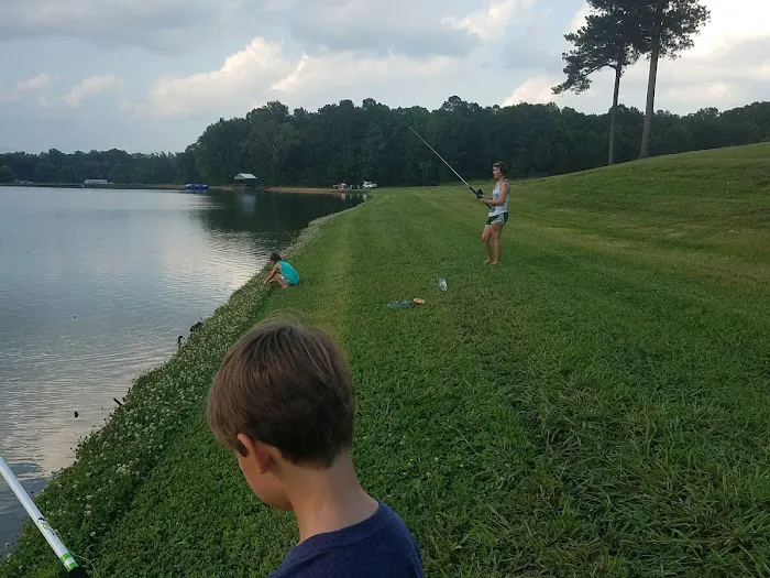 Shark Tooth Creek Picture 6