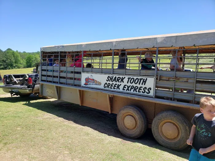 Shark Tooth Creek Picture 1