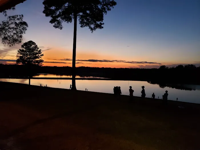 Shark Tooth Creek Picture 3