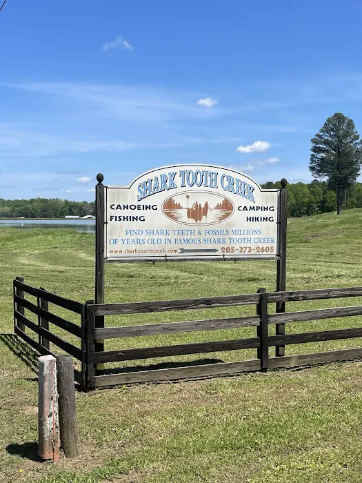 Shark Tooth Creek Picture 8