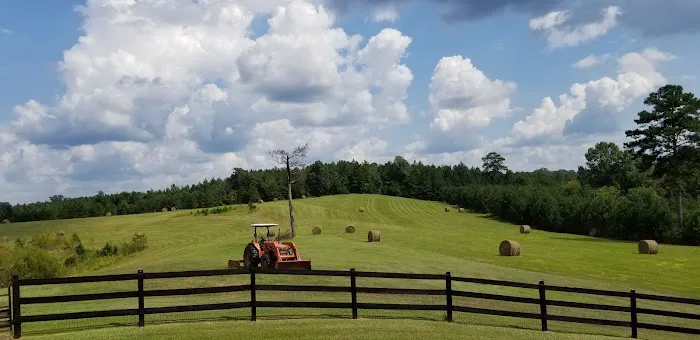 Shark Tooth Creek Picture 2