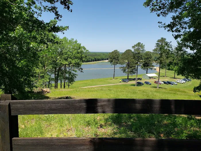 Shark Tooth Creek Picture 9