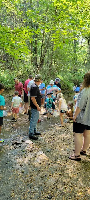 Shark Tooth Creek Picture 7