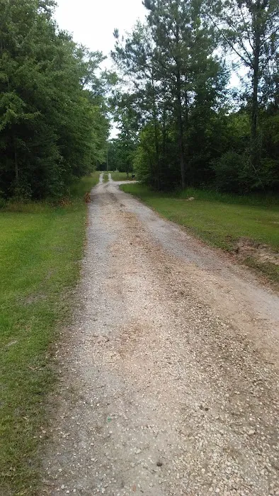 Pennington RV/Camper park Picture 3