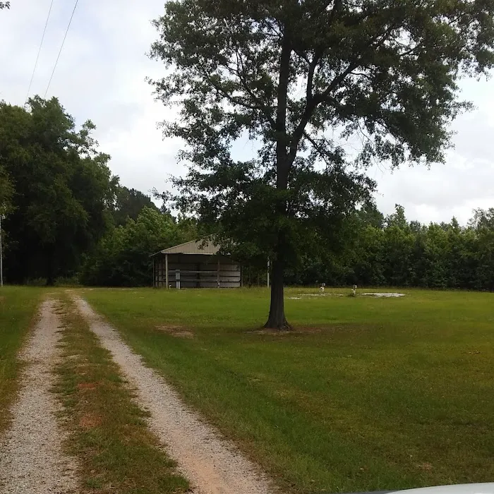 Pennington RV/Camper park Picture 4