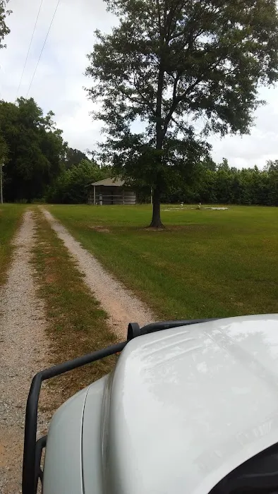 Pennington RV/Camper park Picture 2