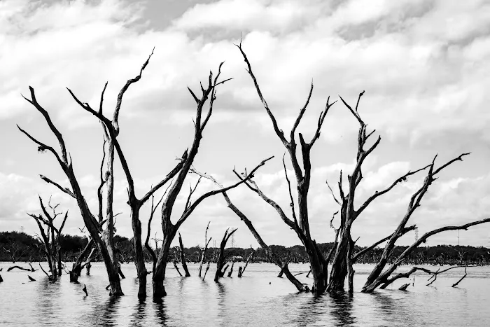 Coleto Creek Reservoir & Park Picture 7