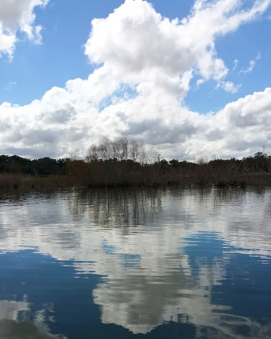 Coleto Creek Reservoir & Park Picture 9