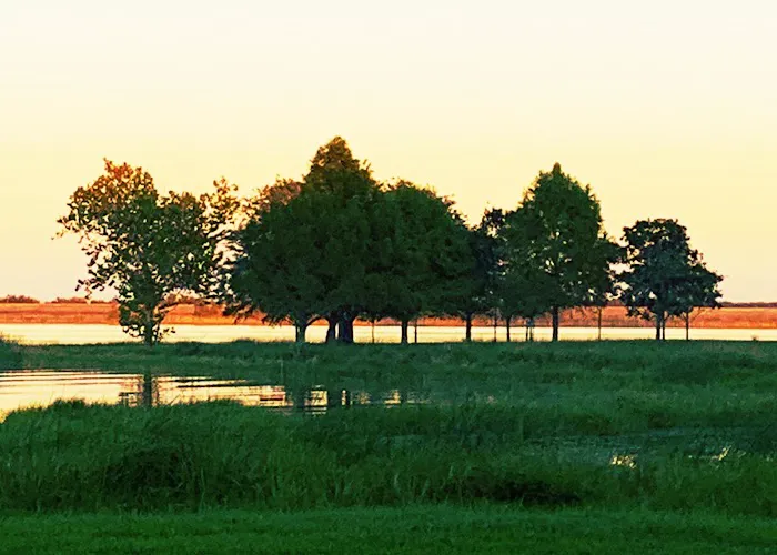 Coleto Creek Reservoir & Park Picture 1
