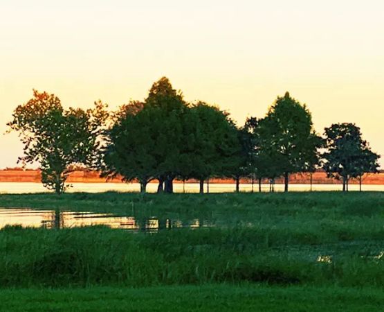 Coleto Creek Reservoir & Park