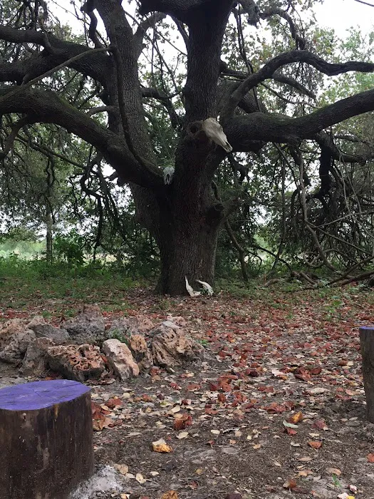 Dead End Creek LLC Picture 7