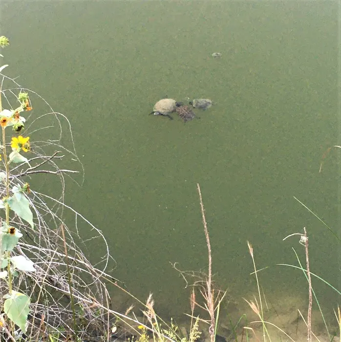 Dead End Creek LLC Picture 9