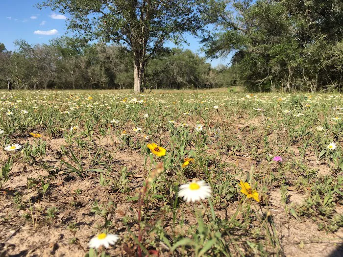 Dead End Creek LLC Picture 3