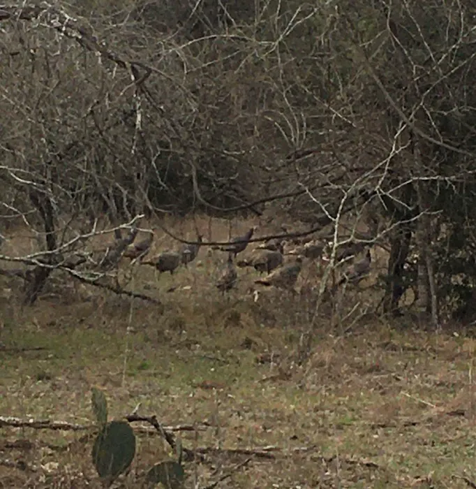 Dead End Creek LLC Picture 4