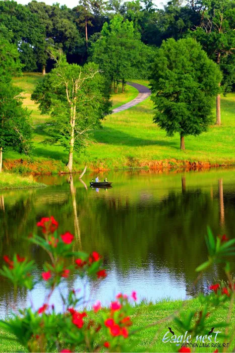 Eagle Nest Hidden Lake Resort Picture 7