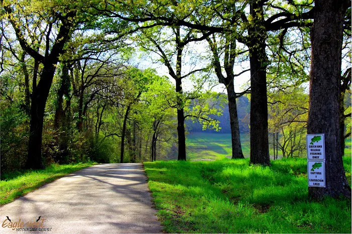 Eagle Nest Hidden Lake Resort Picture 5