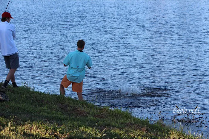 Eagle Nest Hidden Lake Resort Picture 3