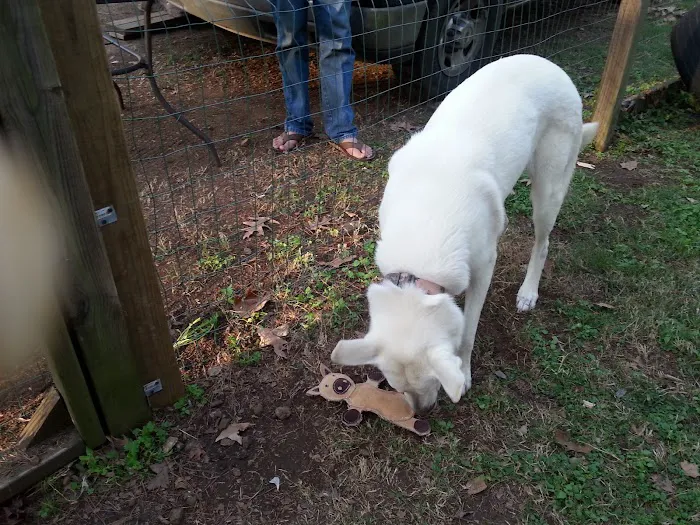 Lowe's Creek Park Picture 3