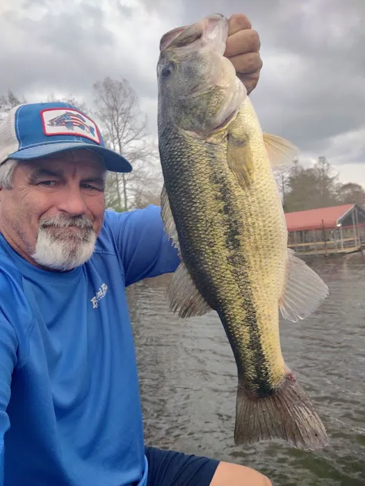 Lowe's Creek Park Picture 7